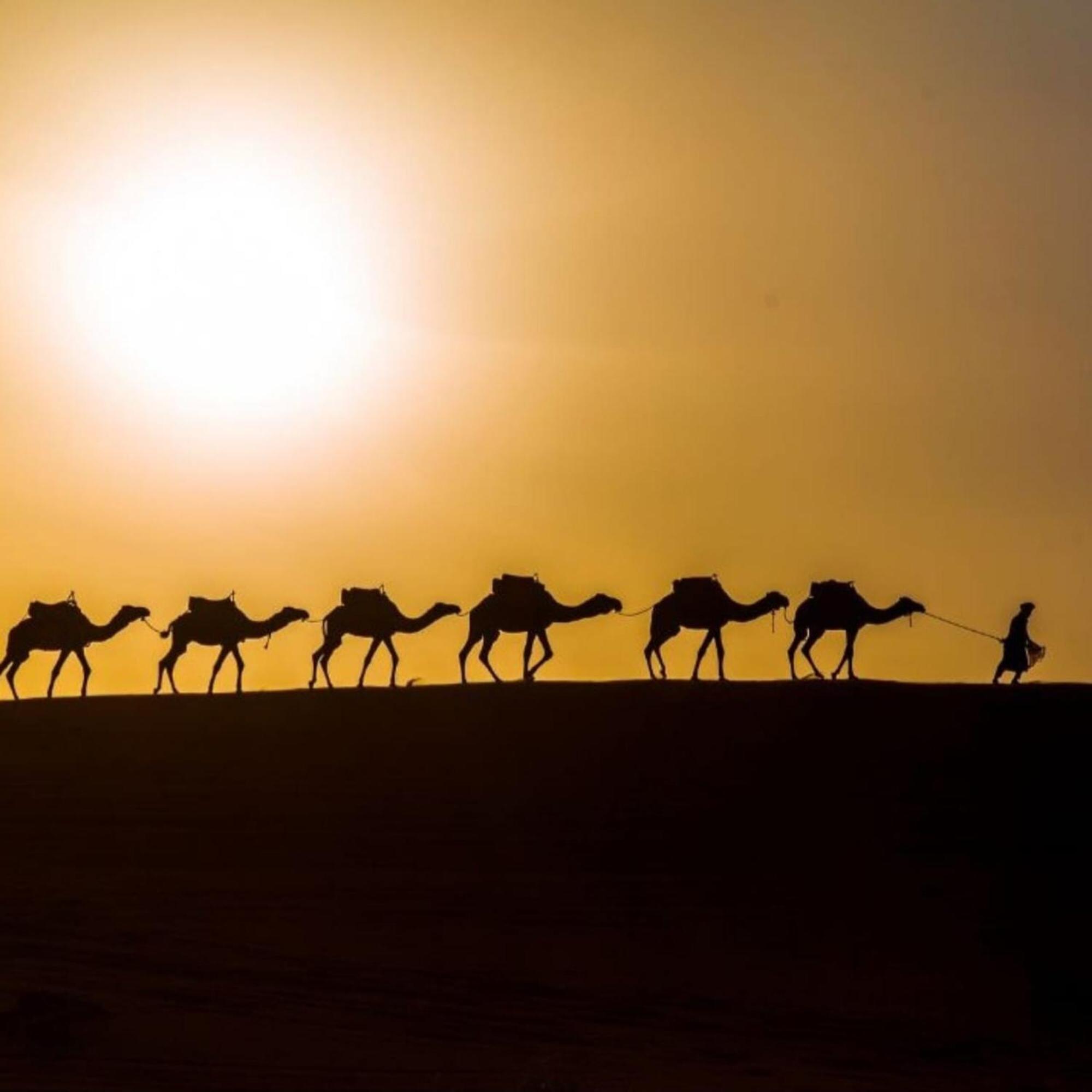 Hotel Unique Sahara Camp Merzouga Esterno foto